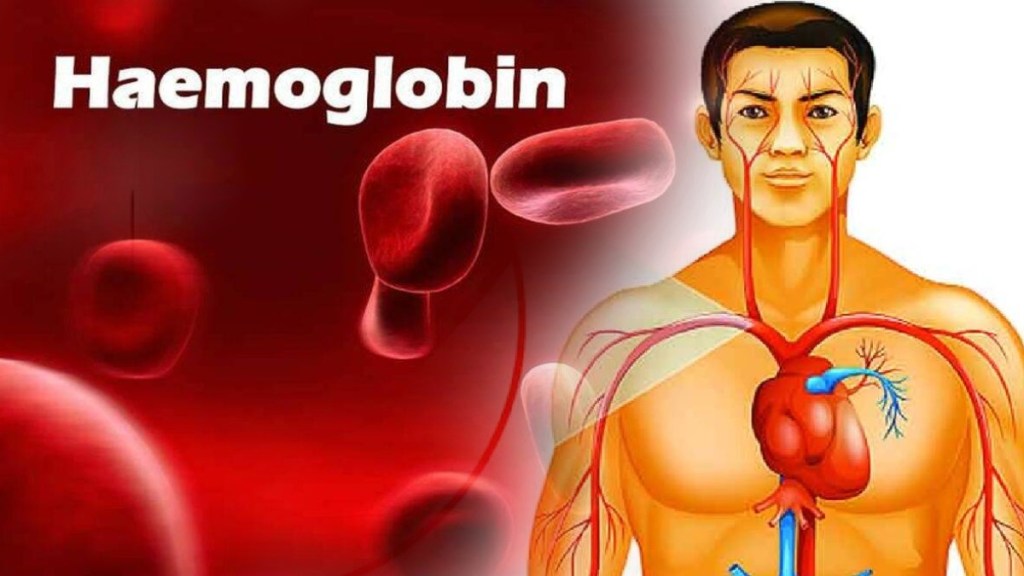 hemoglobin rich food