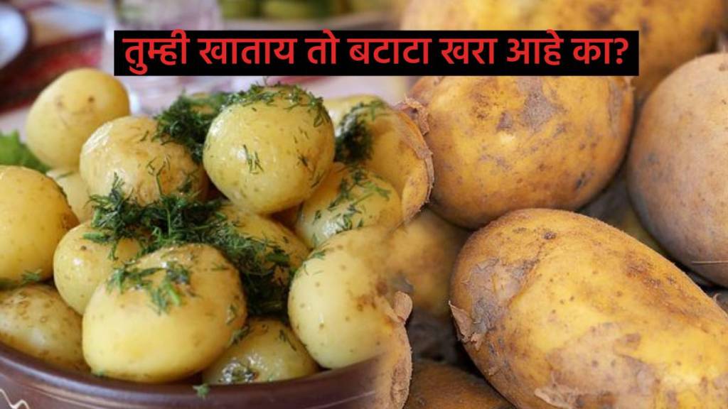 How To Identify Fake Potato What Are The Types Of Potatoes Check Difference Before Eating or Can Cause Threat to health