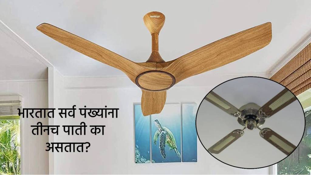 Why All Indian Ceiling Fans Have Three Blades And Foreign Fans Have Four Blades Important Logic Behind Summer Facts