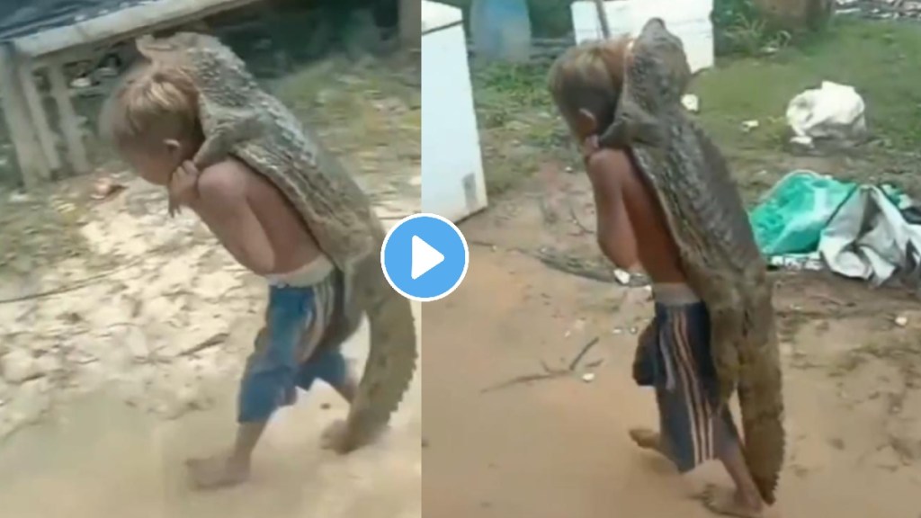 crocodile little boy video