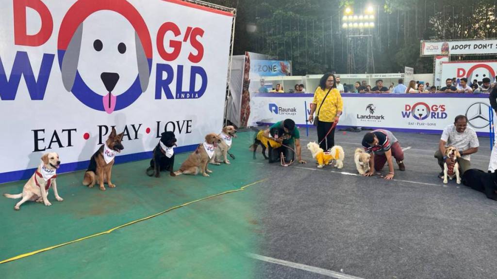 Thane Pet Festival