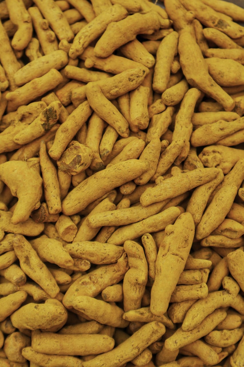 Turmeric