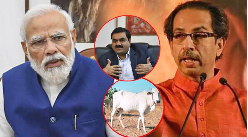 shivsena criticized modi government, shivsena on cow hug day