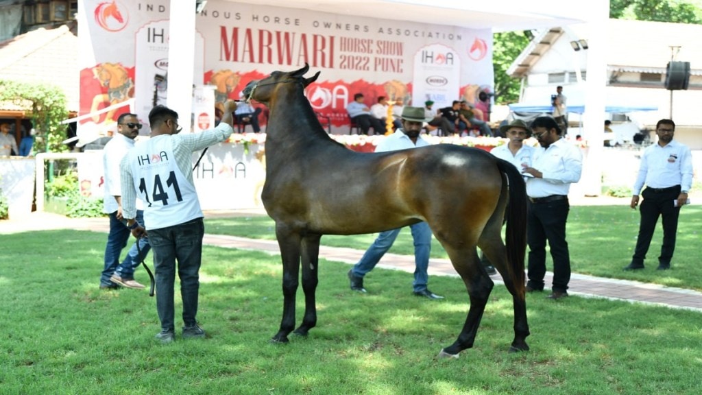 Marwari Horse Show Pune