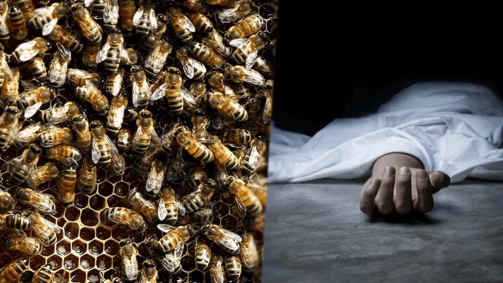 An old man died in a terrible attack by bees