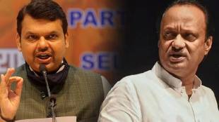 devendra fadnavis and ajit pawar