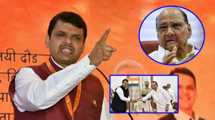 devendra fadnavis and sharad pawar and ajit pawar