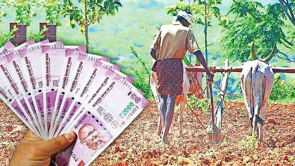 farmers double income