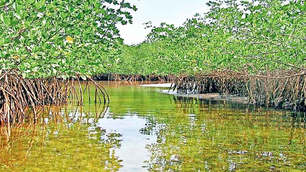 ramsar convention on wetlands