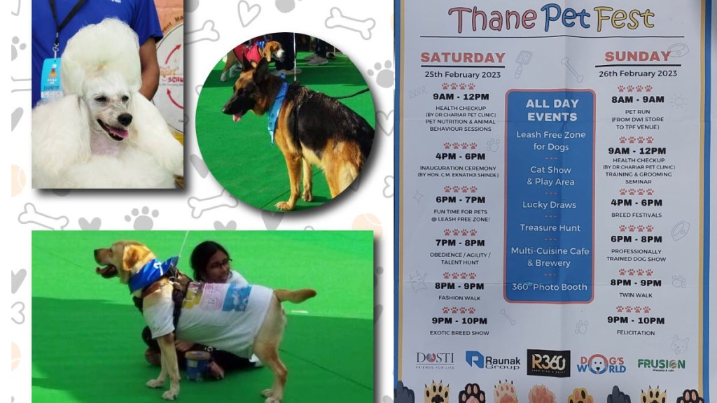 pet festive in thane