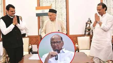 sharad pawar ajit pawar devendra fadanvis