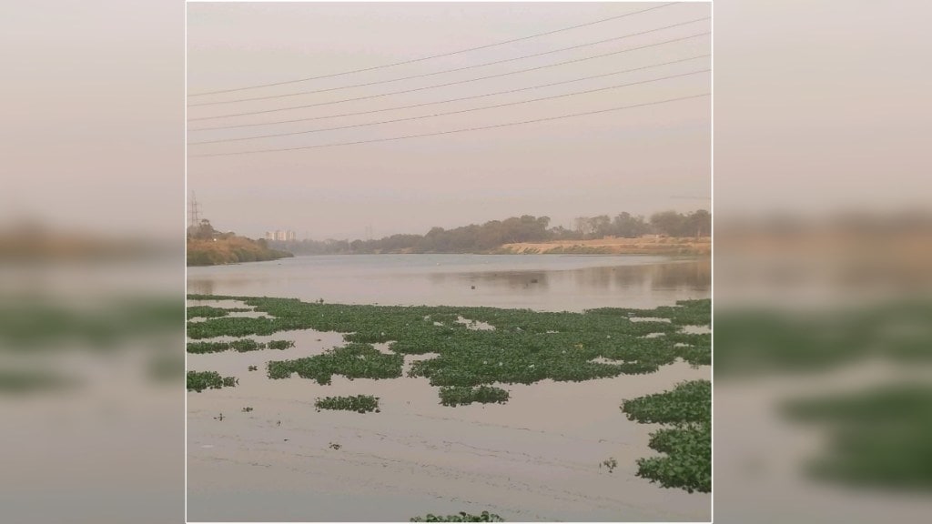 the jalparni continue to flow in Ulhas River