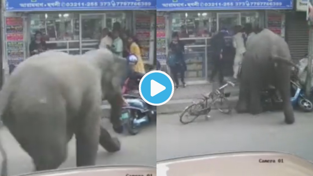 Viral Video Wild Elephant goes mad throws bike like football viral clip will shock you