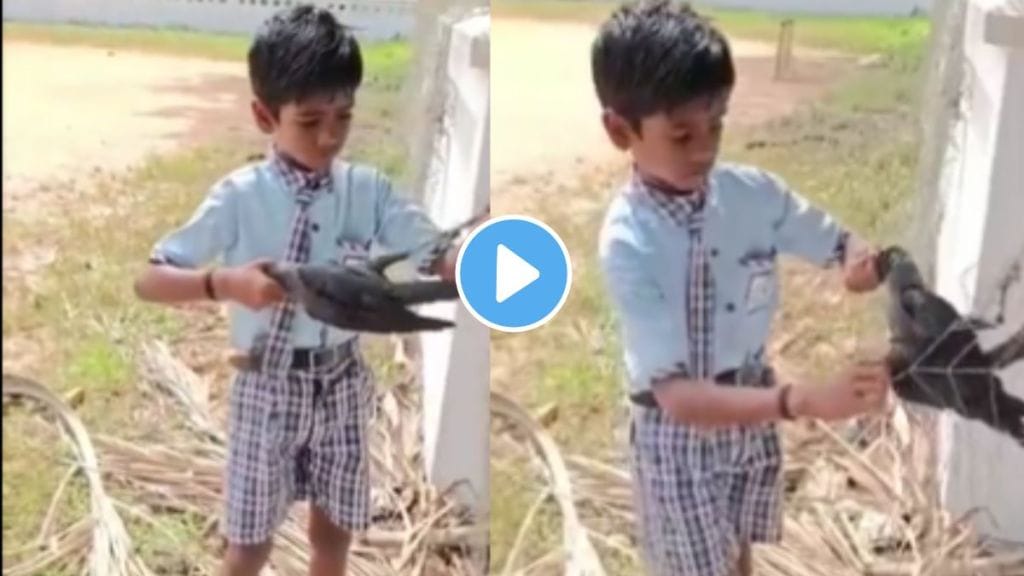 school boy rescuing a crow