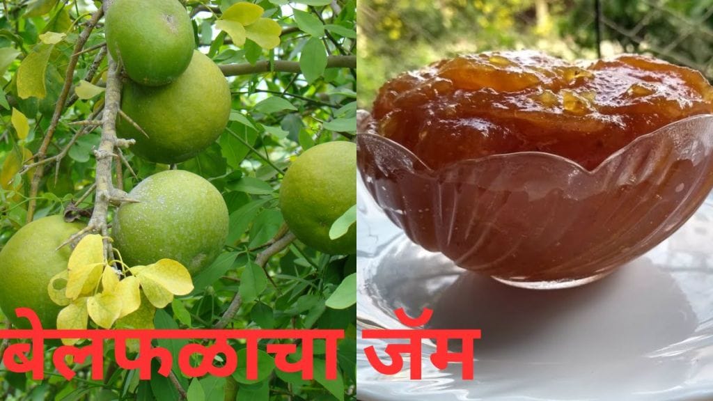 Bael Fruit Recipe