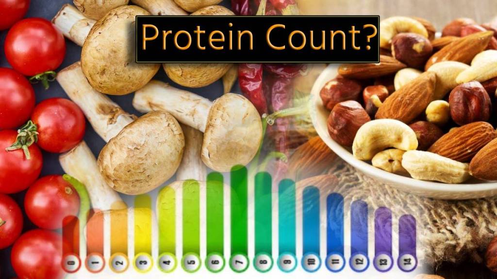 Almonds Cashew Vegetables Pulses Protein Count Which Veggies Has Highest Protein Veg Diet For Weight Loss