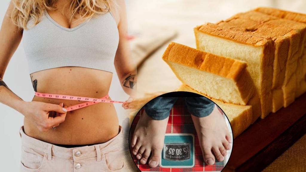 Weight Loss Diet Plan Consuming Bread Will Burn Belly Fats Fast Know From Experts