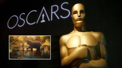 Oscar Awards 2023: भारताच्या ‘द एलिफंट व्हिस्परर्स’ने रचला इतिहास; ‘या’ श्रेणीत जिंकला ऑस्कर पुरस्कार