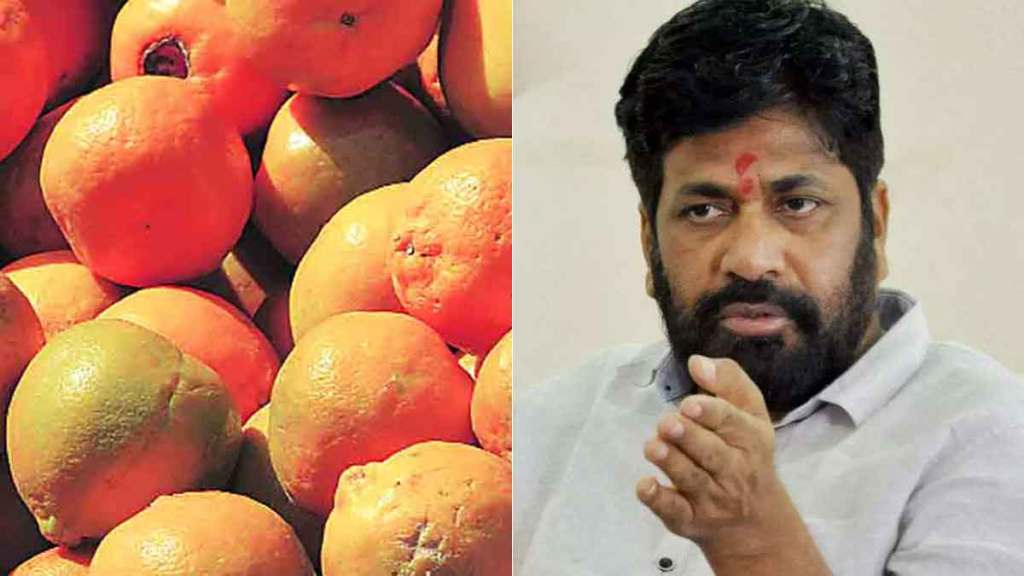 mla bachchu kadu on vidarbha oranges in c 20