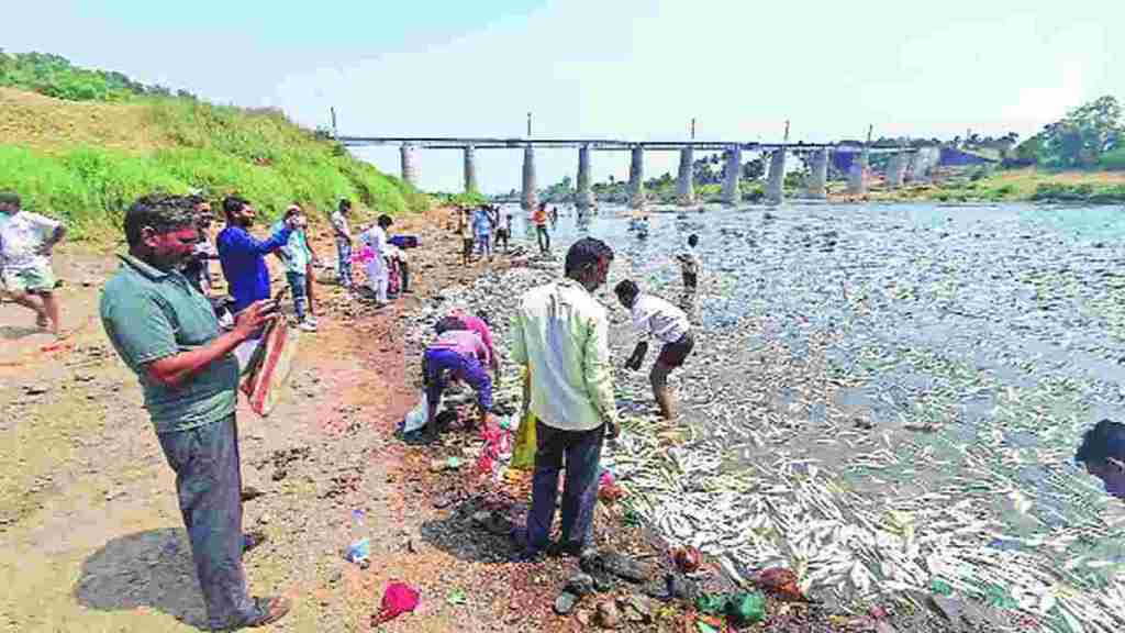 krushna river