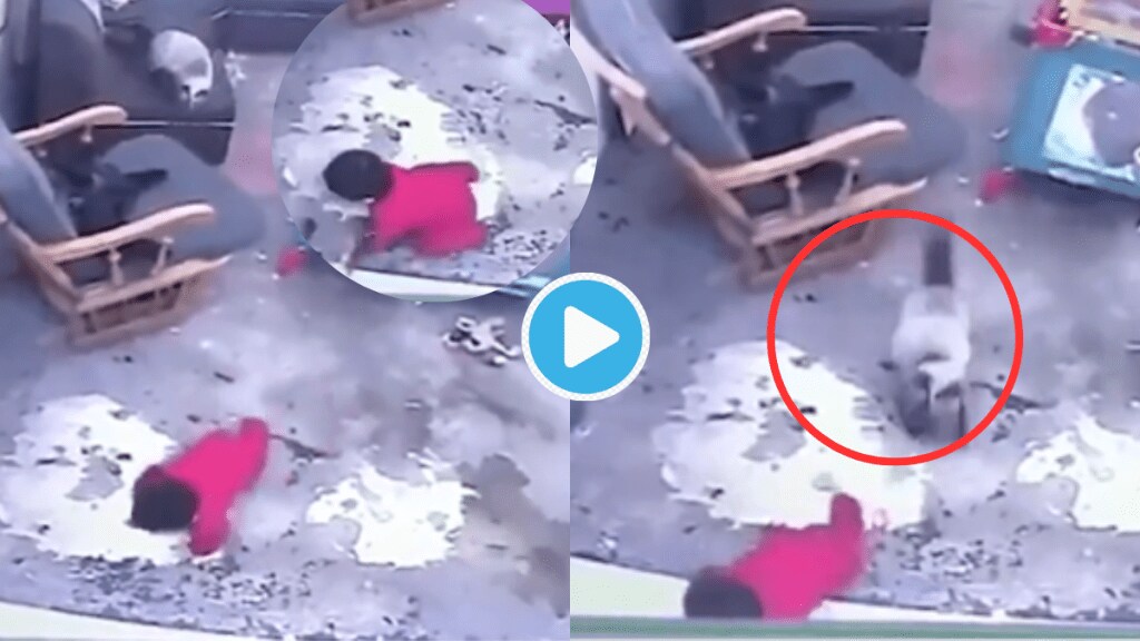 Video Smart cat Saves Life Of Baby Falling Down From Stairs Cat Lovers Say You Call Them Evil Viral Shocking clip Emotional