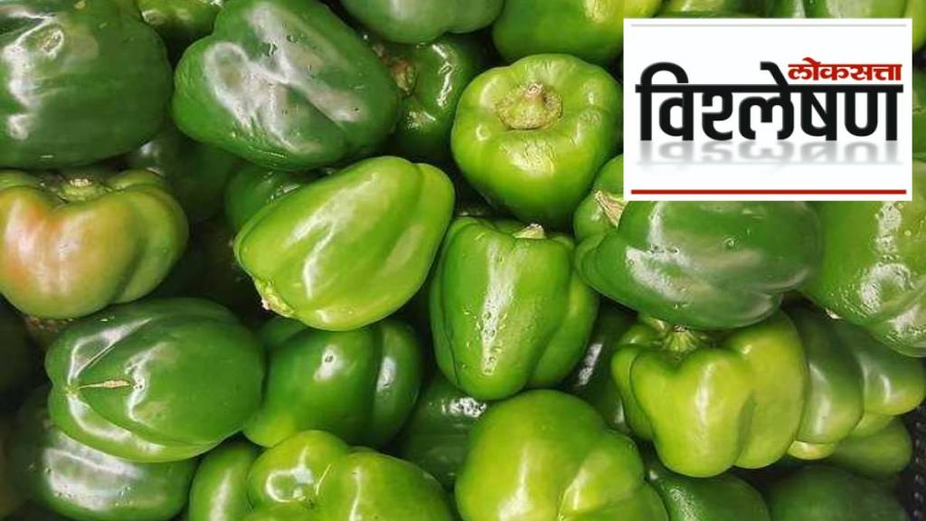 Capsicum Price in Punjab