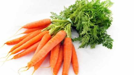 international carrot day