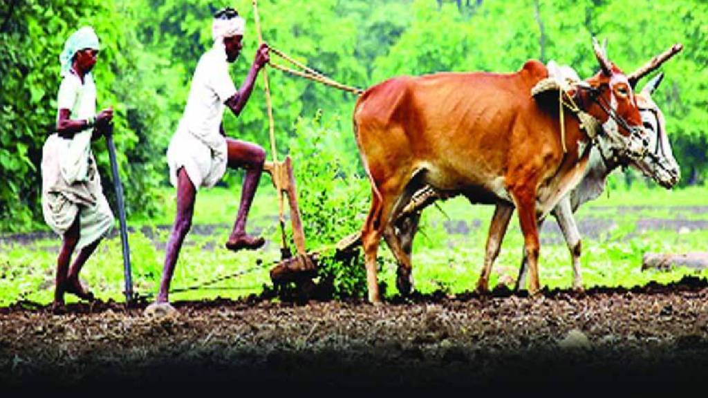 Jalgaon leads crop competition