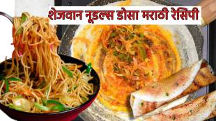 Schezwan Noodles Dosa Recipe In Marathi Quick Dosa Making Tips How To make it crispy without breaking kitchen tips