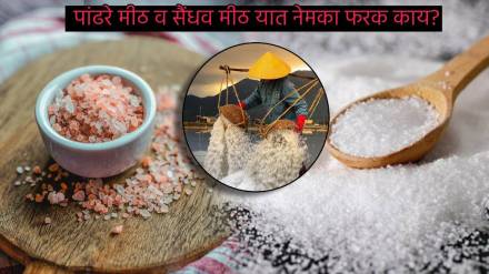 White Salt or Rock Salt How Much Namak Is Okay To eat in a day Expert explains Difference Between regular and pink Salt