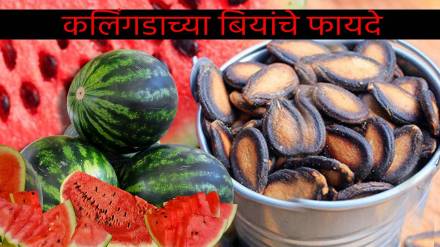 Watermelon Seeds Are Useful For Weight Loss Heart Health Diet Expert Shares Perfect Way To eat Amazing Health Benefits