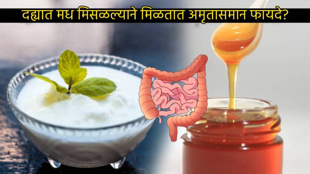 Dahi Honey Mix For Weight Loss Constipation Can Give Amruta Benefits How To Eat Curd In Right Way Health Expert Advice