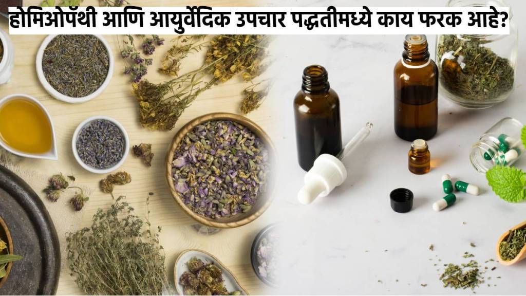 world homeopathy day 2023 whats difference between ayurveda and homoeopathy and how does it work read more