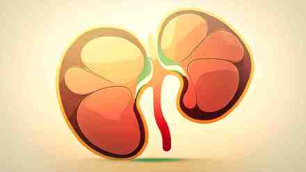 Diabetic Kidney