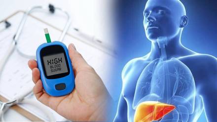 world liver day 2023 can diabetes damage liver