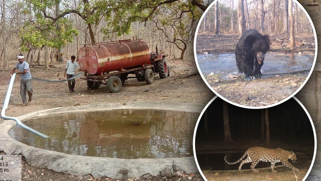 thirsty wild animals Wardha