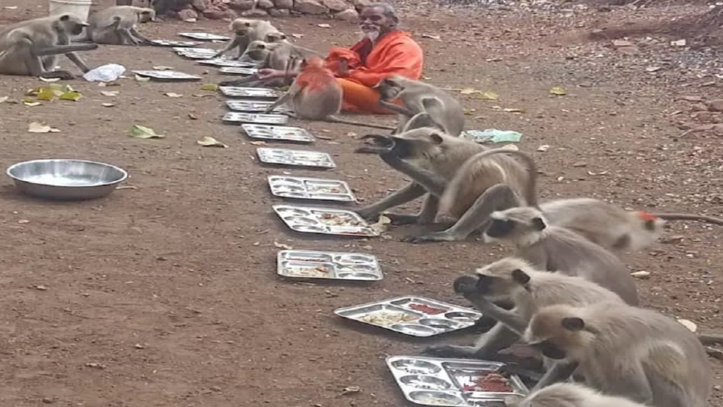 Kothali monkeys Mahaprasad