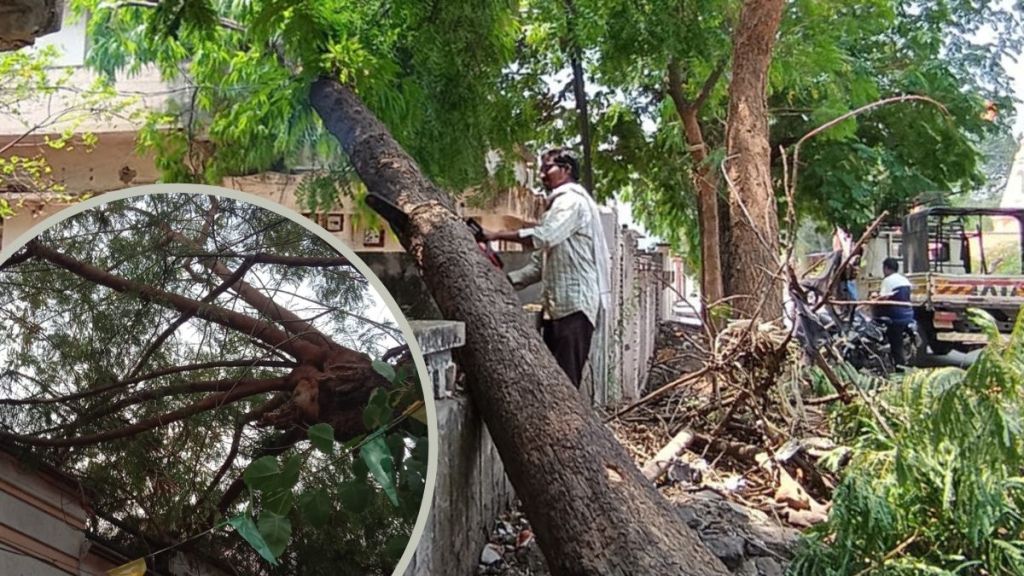 chandrapur rain