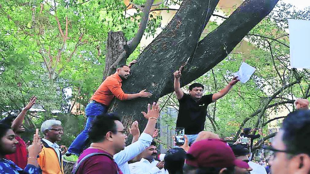 chipko movement