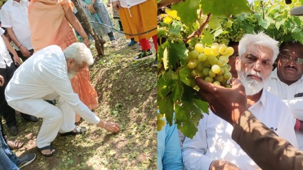 dada bhuse farmers panchnama nashik