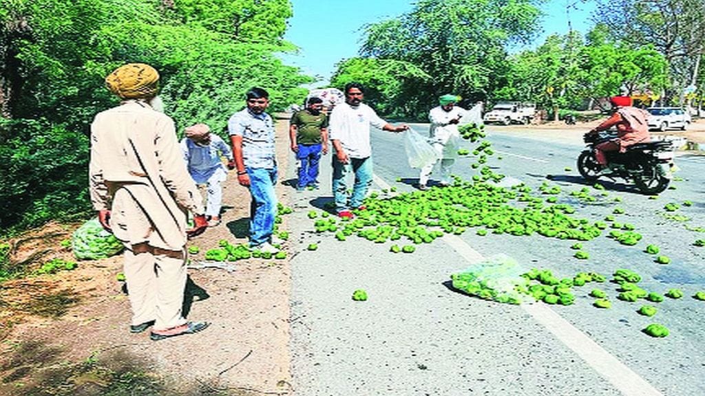 dv punjab farmers