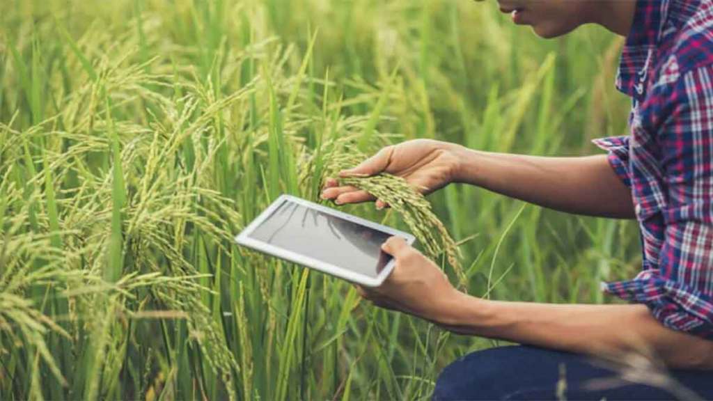 farmers in maharashtra