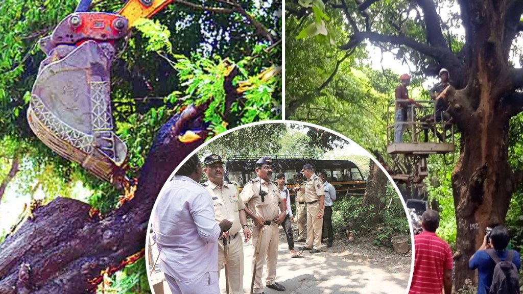 felling of trees in Aarey in the early morning