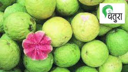 guava