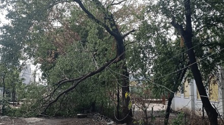 Thunderstorm rain lightning gusty winds Yavatmal