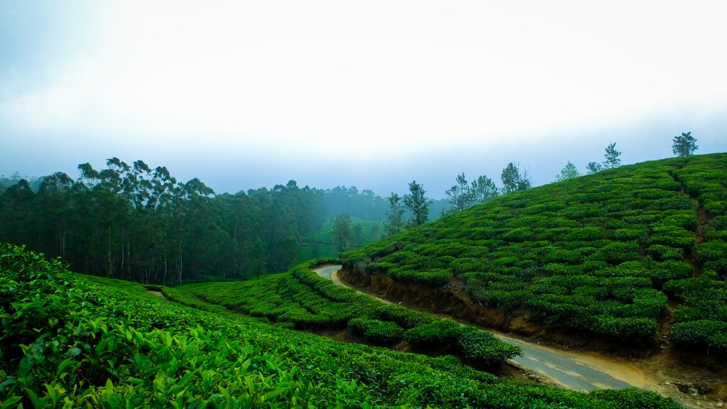 IRCTC Kerala Tour Package