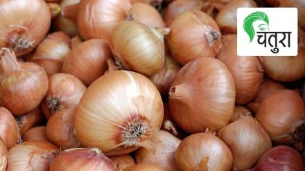 onions pixabay