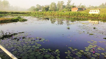 India's performance wetland conservation good; 75 wetlands Ramsar nagpur