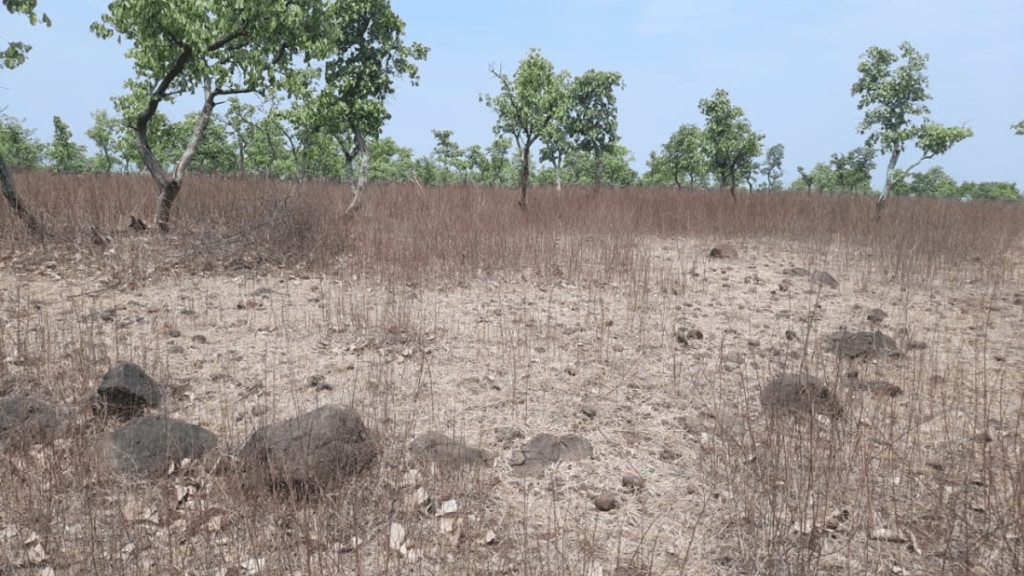 Oshin Bamb student Pune Discovered 71 megalithic rock circles Yesamba Wardha