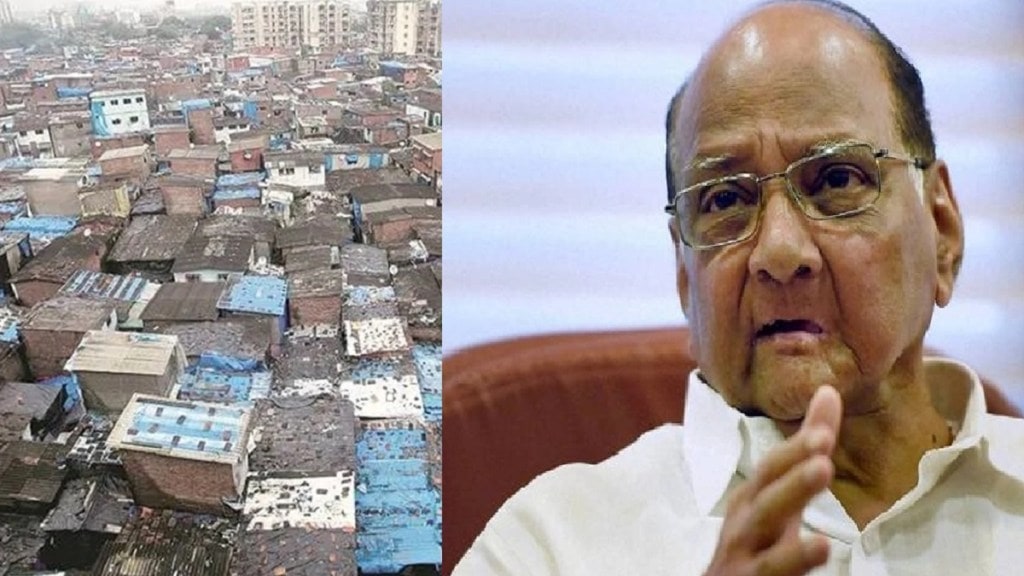 sharad pawar dharavi